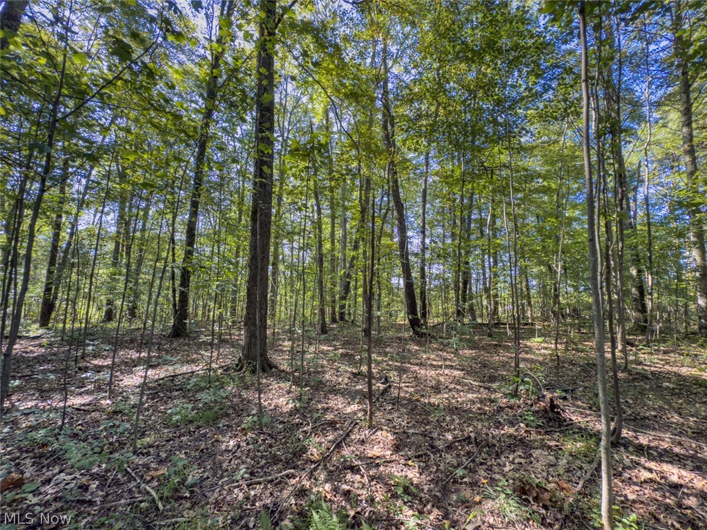 2 Shinn Road Stockport, OH 43787 - Photo 7 of 17 Gallery Image 7