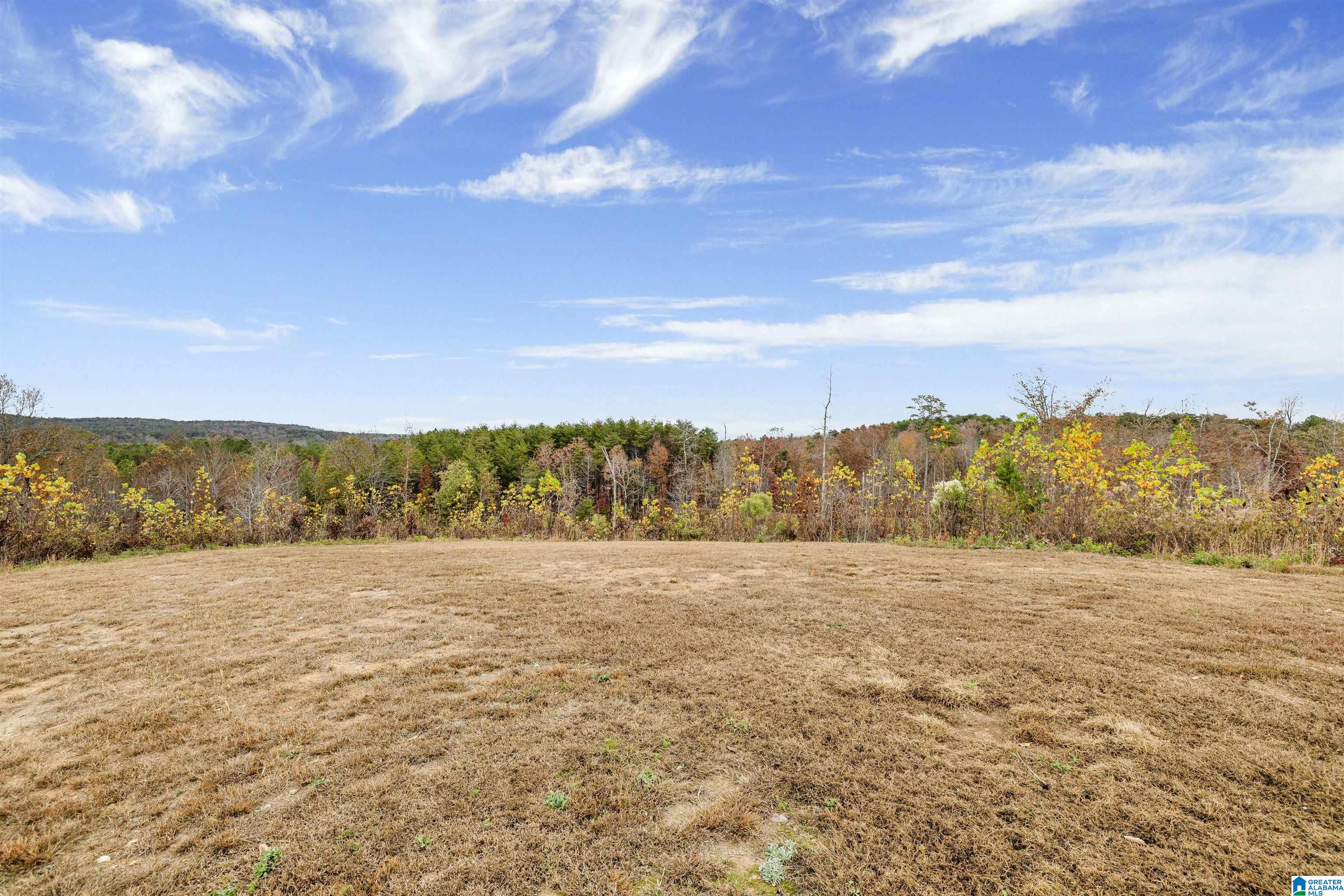 6060 Huckleberry Lane Morris, AL 35116 - Photo 28 of 35