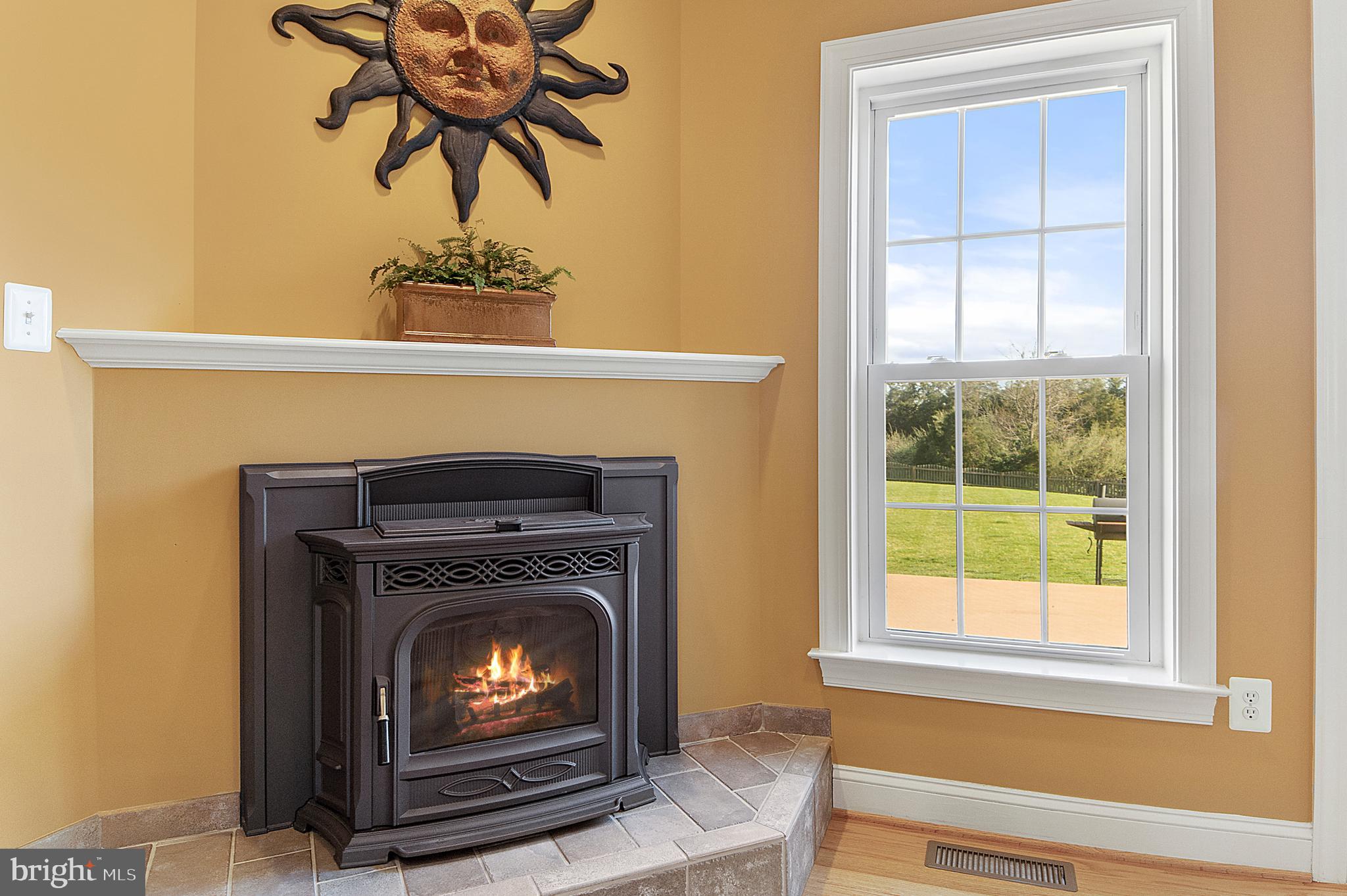 8633 Shepherds Way Rixeyville, VA 22737 - Photo 12 of 48 a living room with a fireplace