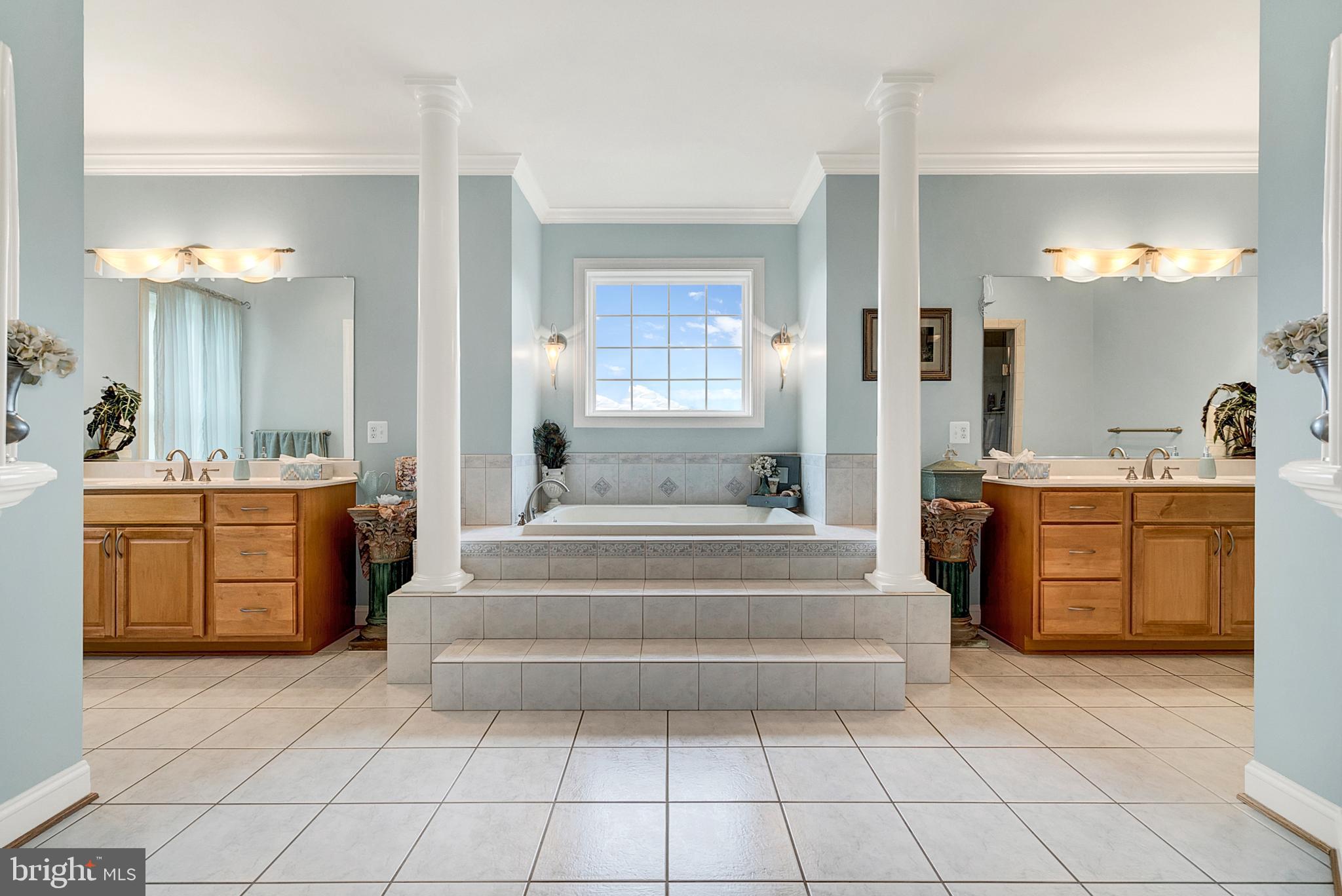 8633 Shepherds Way Rixeyville, VA 22737 - Photo 23 of 48 a spacious bathroom with a sink a vanity a mirror and bathtub