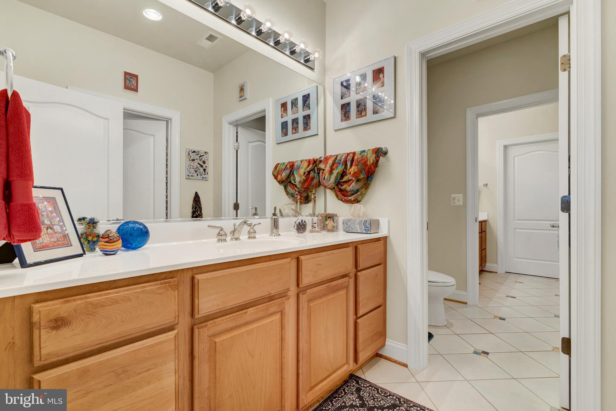 8633 Shepherds Way Rixeyville, VA 22737 - Photo 26 of 48 a bathroom with a sink and a mirror