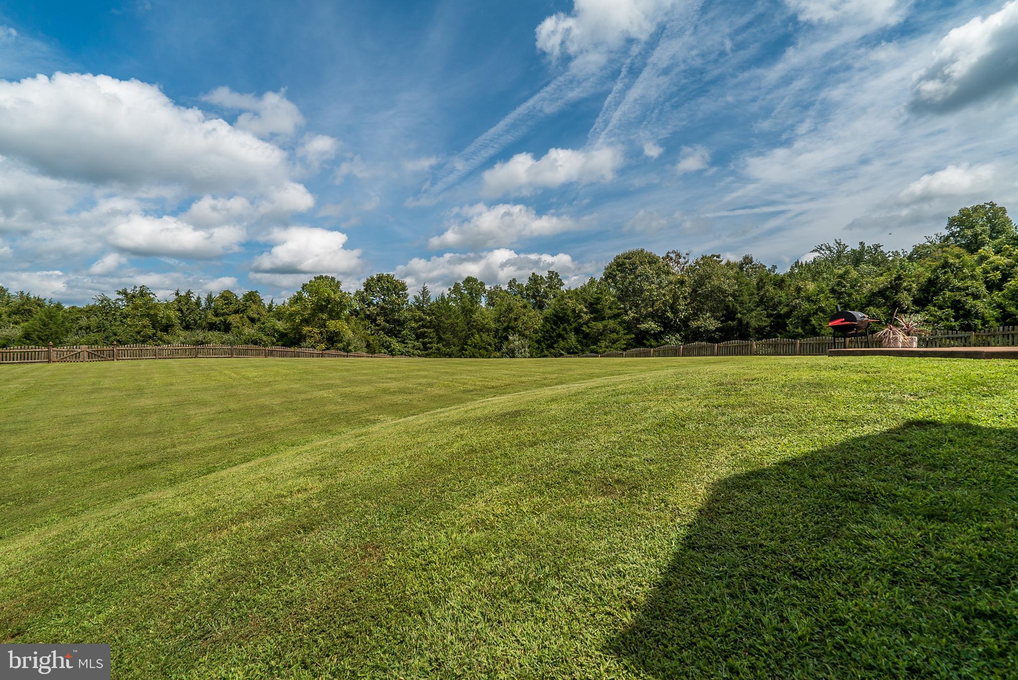 8633 Shepherds Way Rixeyville, VA 22737 - Photo 41 of 48 a view of a field with an ocean