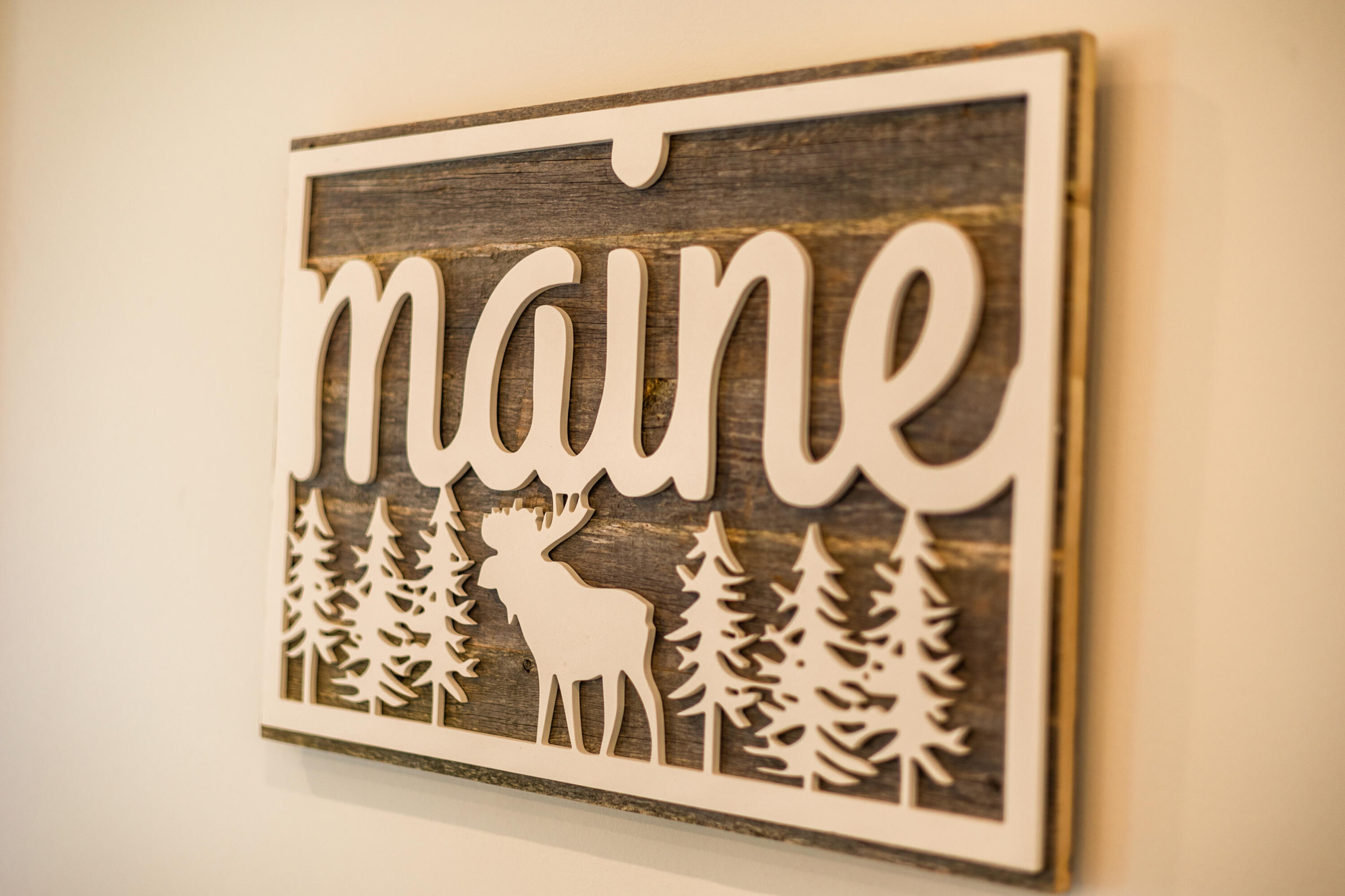 49 Cooper Lane Greenville Junction, ME 04442 - Photo 19 of 37 _WO_5206