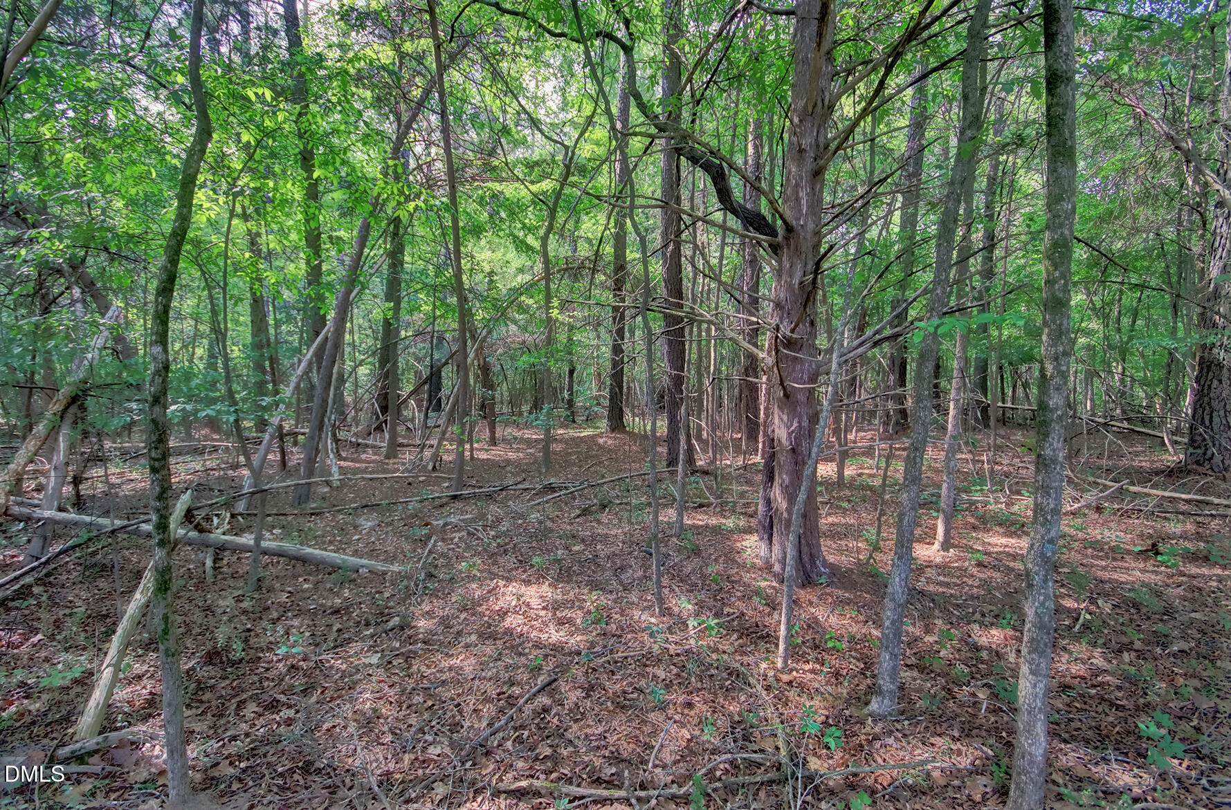 0 Rumley Road Graham, NC 27253 - Photo 7 of 16 Lot 1-A Interior