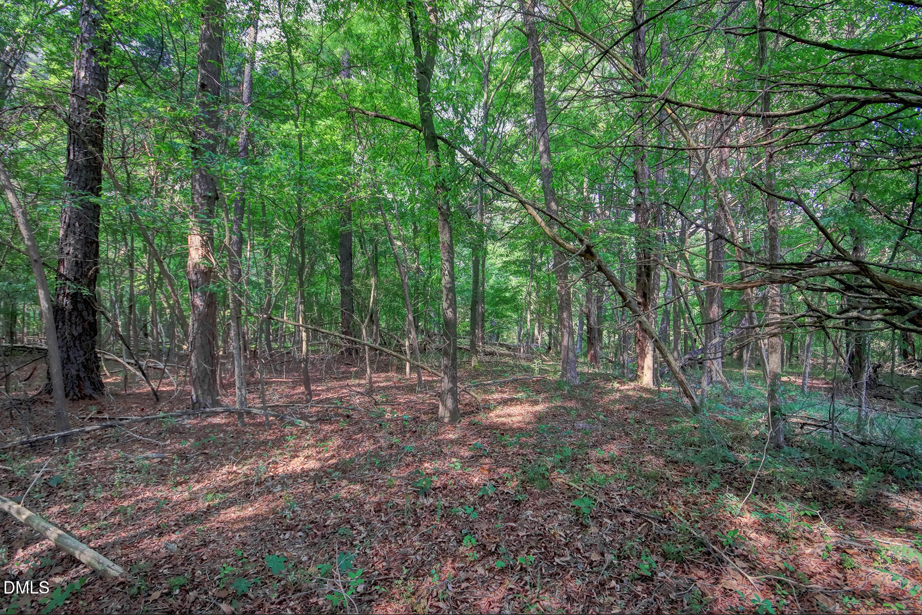 0 Rumley Road Graham, NC 27253 - Photo 8 of 16 Lot 1-A Interior