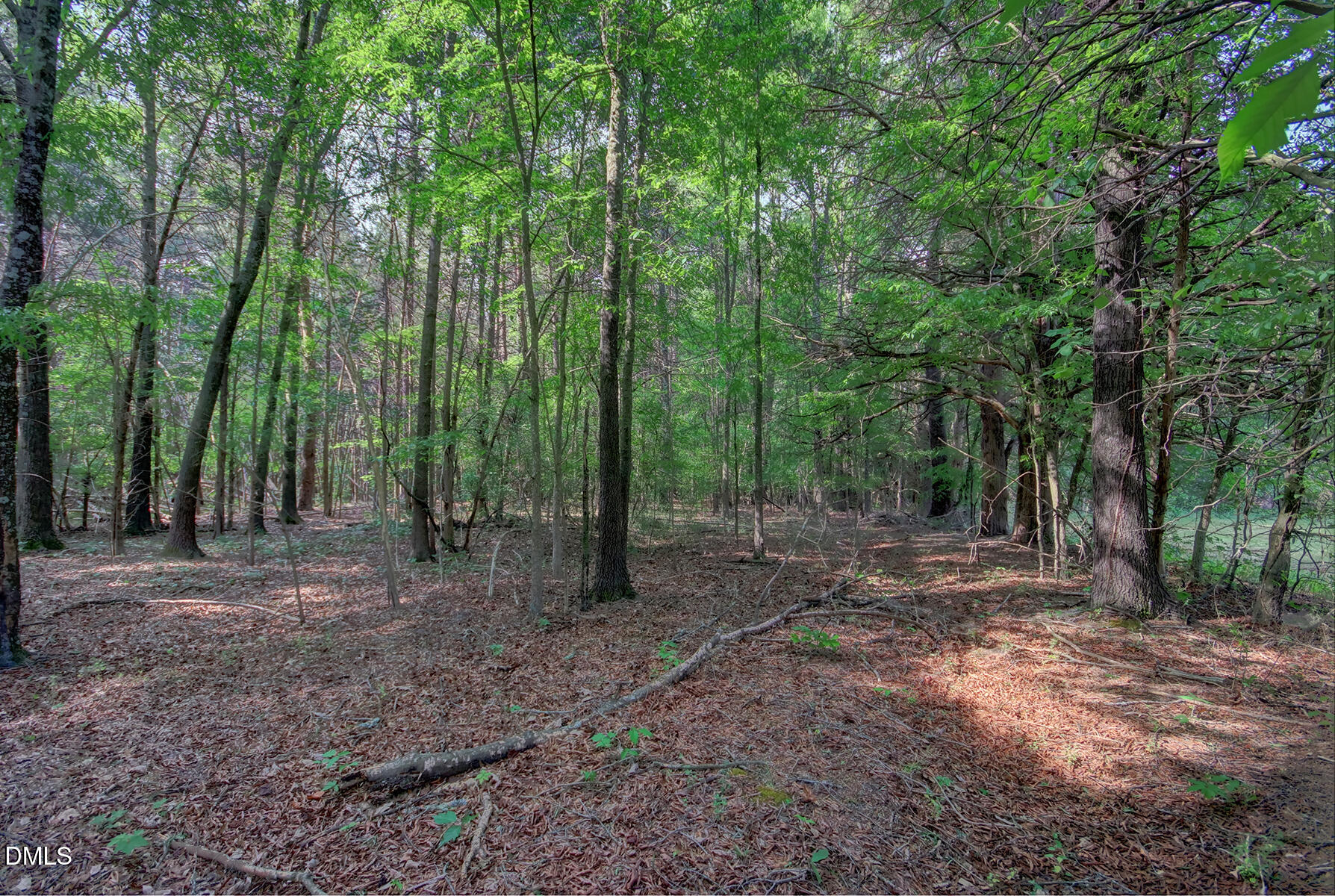 0 Rumley Road Graham, NC 27253 - Photo 9 of 16 Lot 1-A Interior