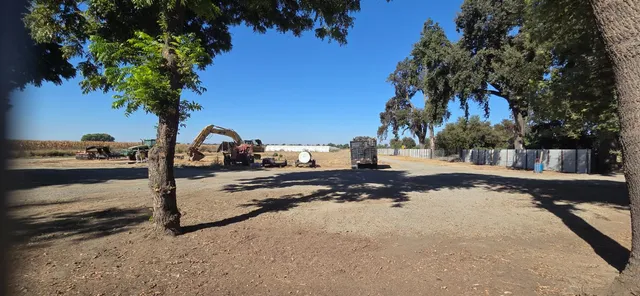 a view of a park with large trees
