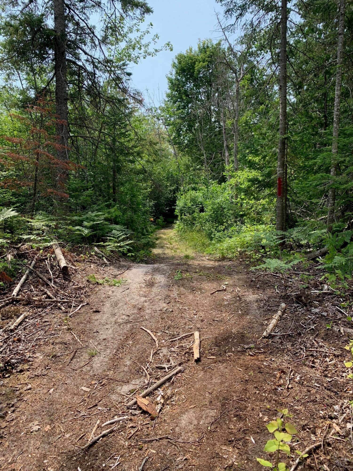 9015 North Whitefish Point Road Paradise, MI 49768 - Photo 23 of 32 Gallery Image 23