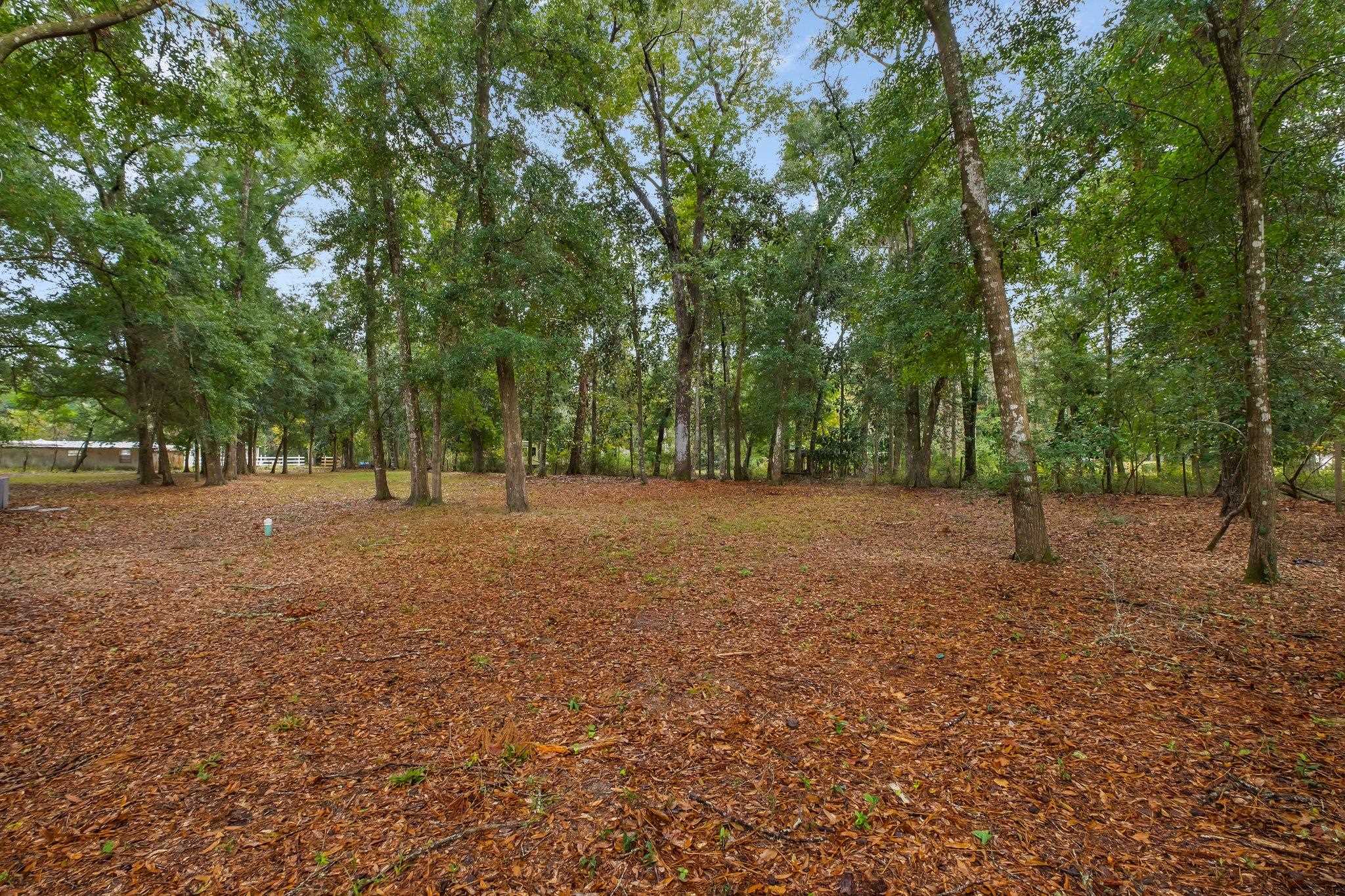 408 Drake Acres Road Quincy, FL 32351 - Photo 18 of 18 Gallery Image 18
