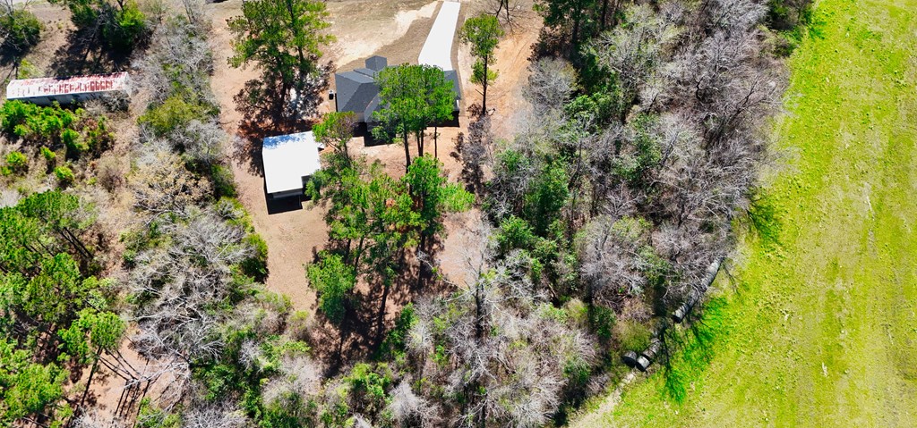 5619 Lucy Grade Road Ashford, AL 36312 - Photo 6 of 33