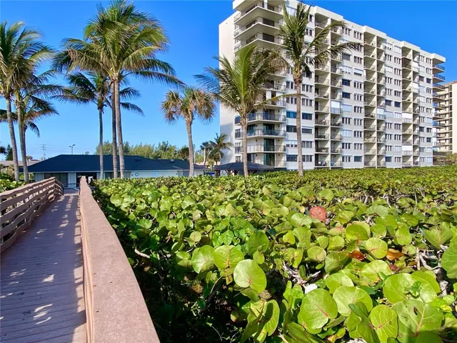 a picture of palm trees