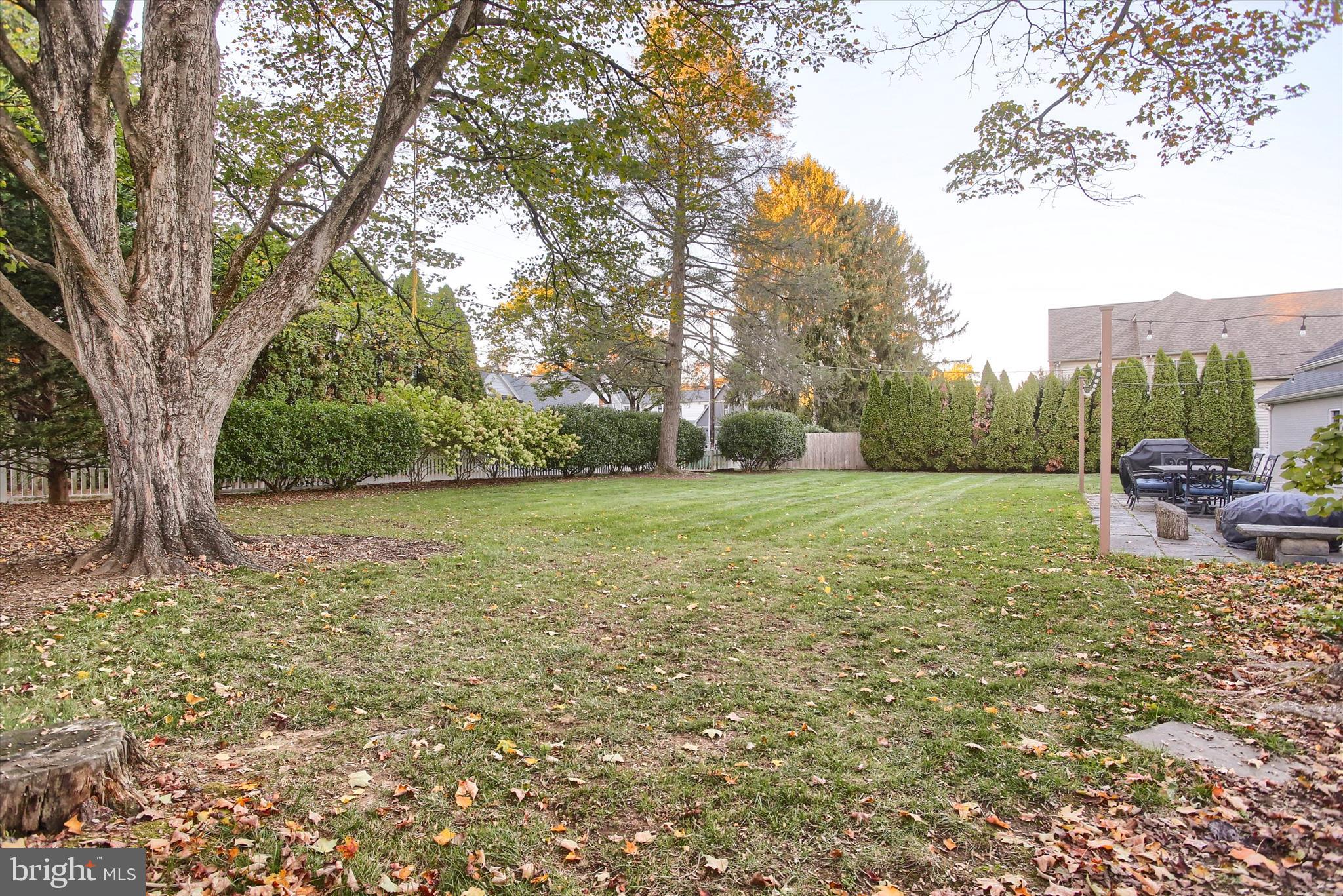 155 Oak Lane Hershey, PA 17033 - Photo 48 of 54 a backyard of a house with lots of green space