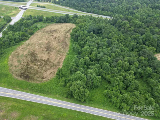 a view of a yard with plants and large trees