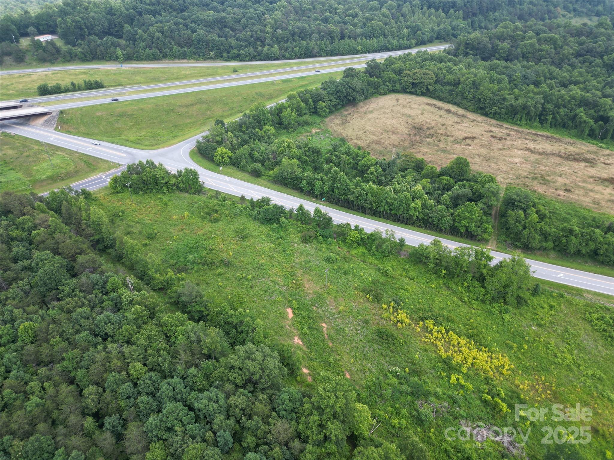 0 Clingman Road Ronda, NC 28670 - Photo 9 of 18 a view of a big yard with large trees