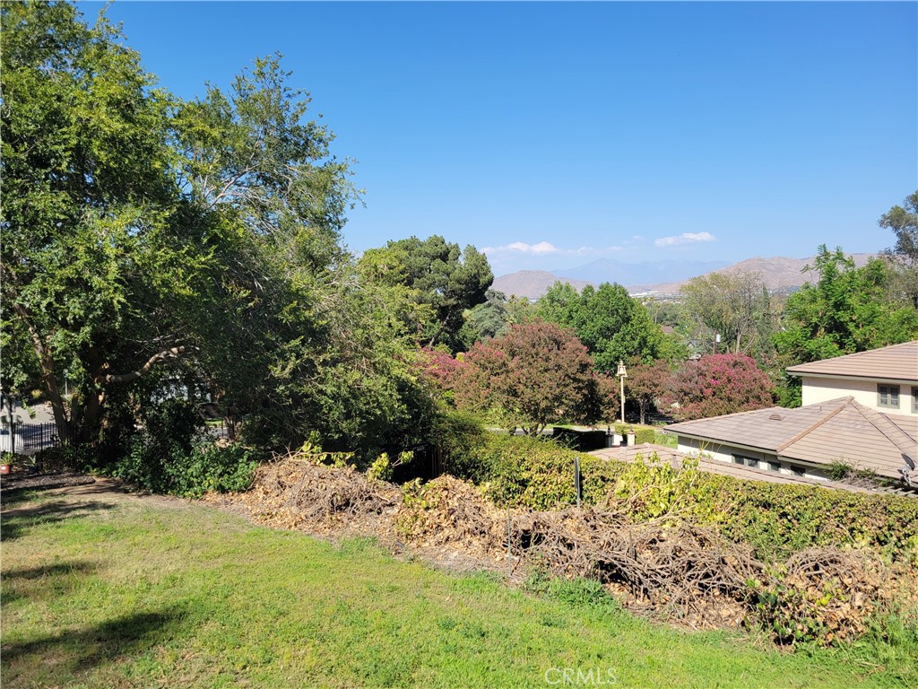 4600 9th Street Riverside, CA 92501 - Photo 14 of 21 a view of a yard with plants