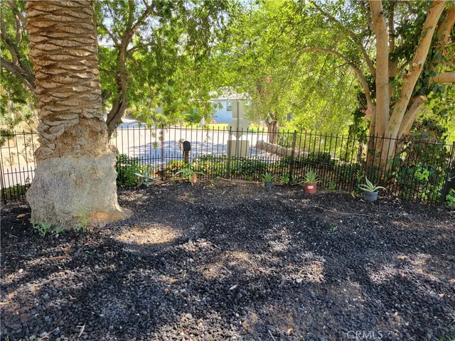 a view of a tree in a yard