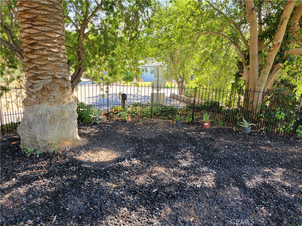 4600 9th Street Riverside, CA 92501 - Photo 15 of 21 a view of a yard with plants and trees