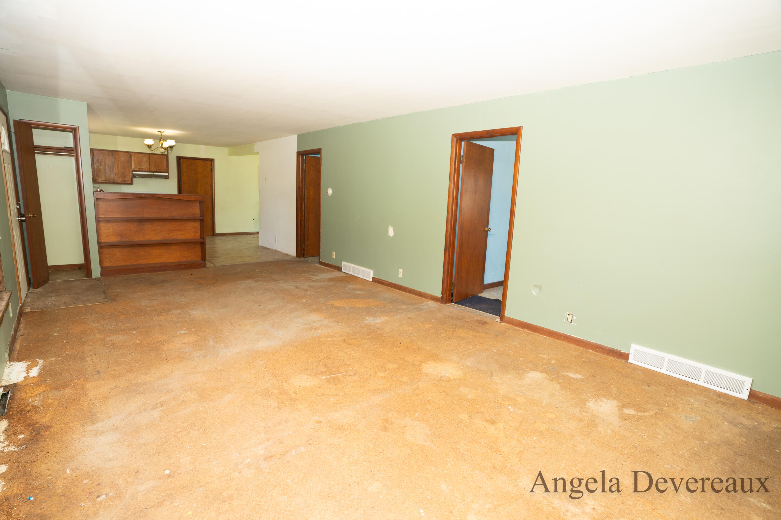 3183 Belding Road Orleans, MI 48865 - Photo 7 of 30 DSC01781