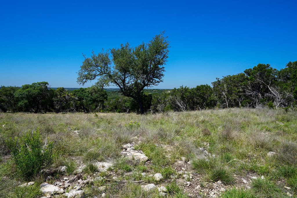 204 Wilson Ranch Road Hunt, TX 78024 - Photo 15 of 61 a view of a lush green space