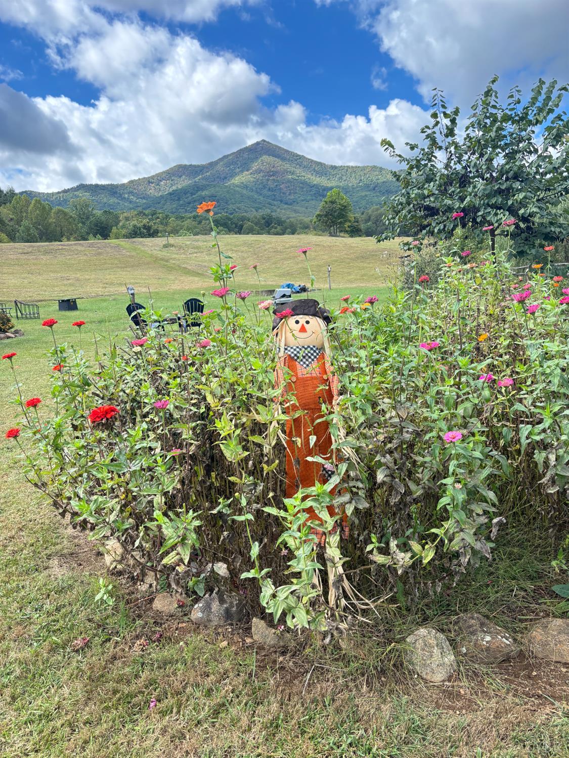 7392 Peaks Road Bedford, VA 24523 - Photo 25 of 48 a view of a lake with a mountain in the back
