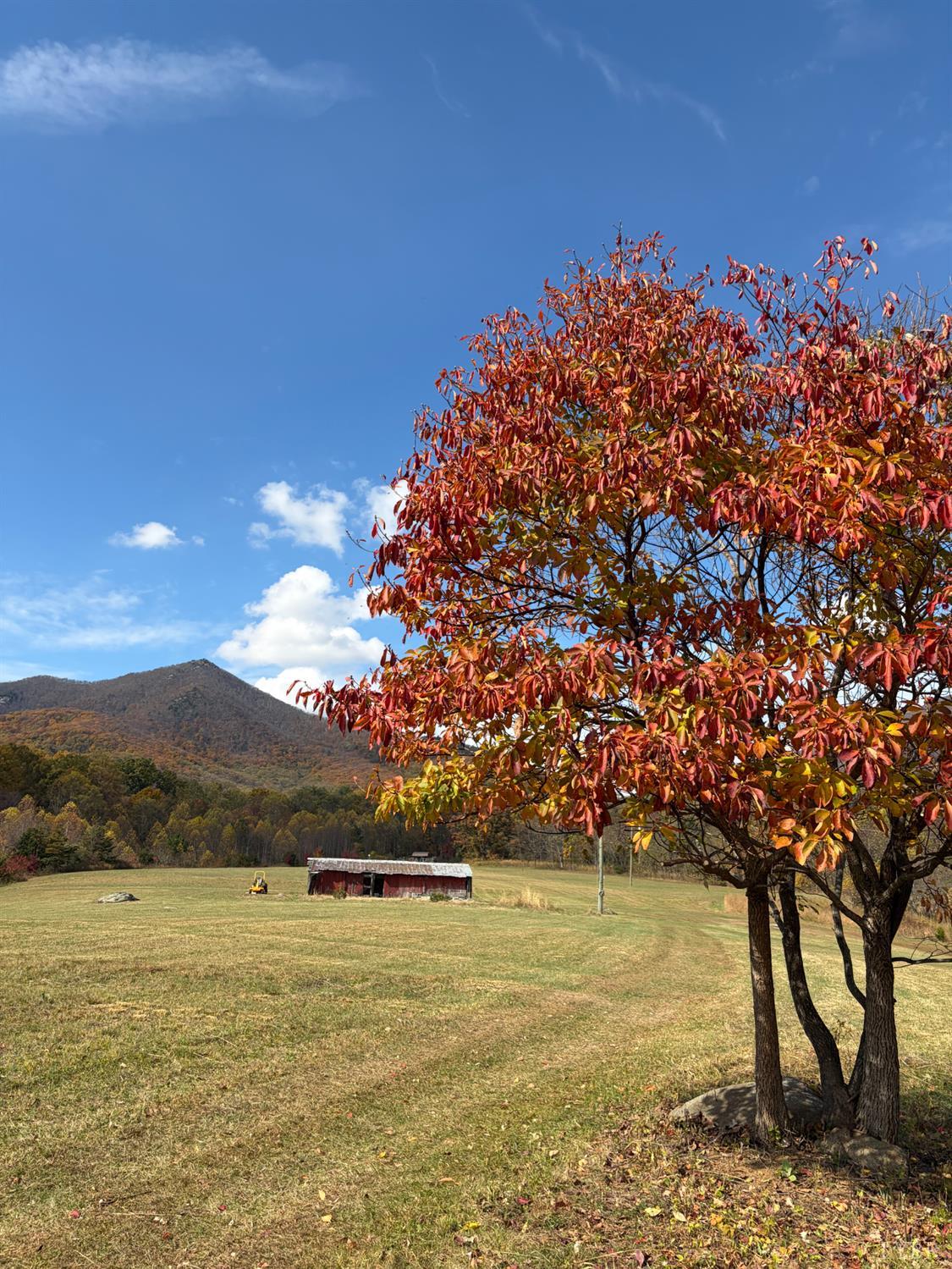 7392 Peaks Road Bedford, VA 24523 - Photo 26 of 48 a view of an outdoor space and yard