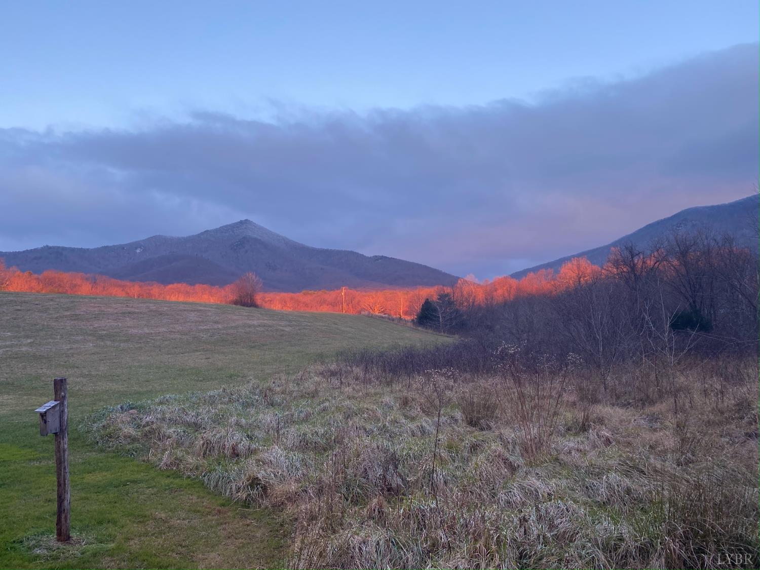 7392 Peaks Road Bedford, VA 24523 - Photo 27 of 48 a view of a dry yard