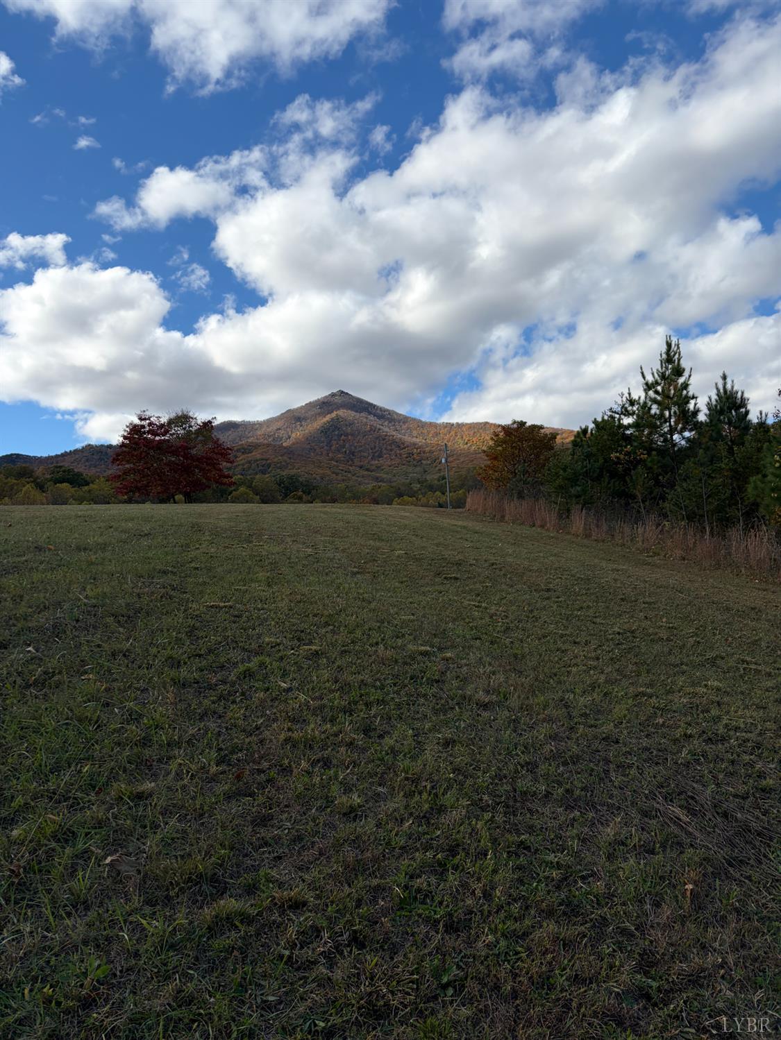 7392 Peaks Road Bedford, VA 24523 - Photo 30 of 48 a view of lake with mountain