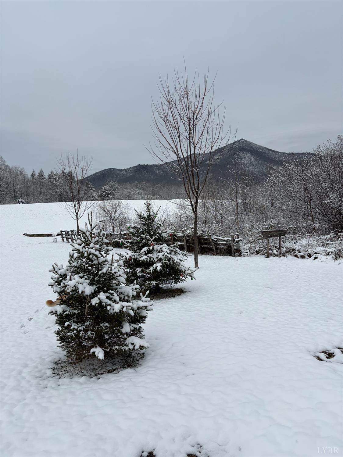 7392 Peaks Road Bedford, VA 24523 - Photo 9 of 48 a view of outdoor space and yard