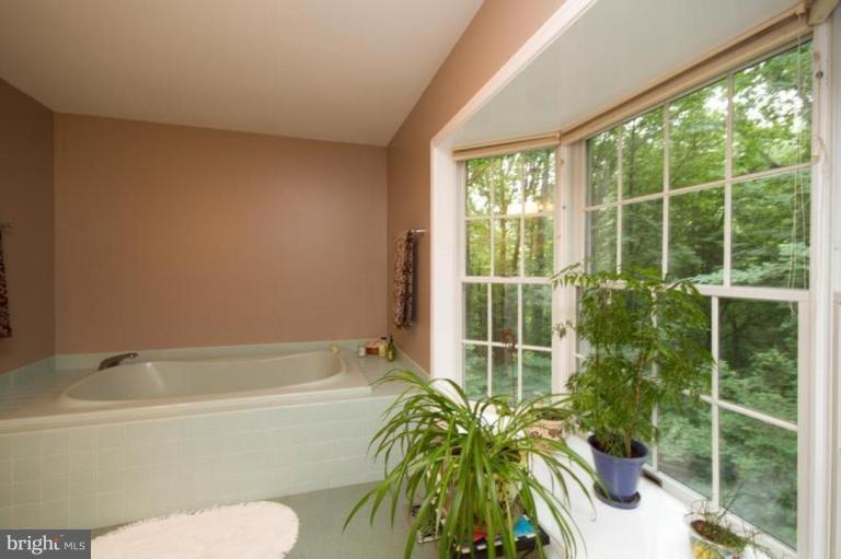 270 Grays Road Lothian, MD 20711 - Photo 11 of 30 WHIRLPOOL BATH WITH A VIEW