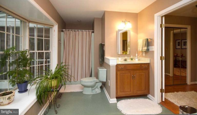 270 Grays Road Lothian, MD 20711 - Photo 3 of 30 Master Bath