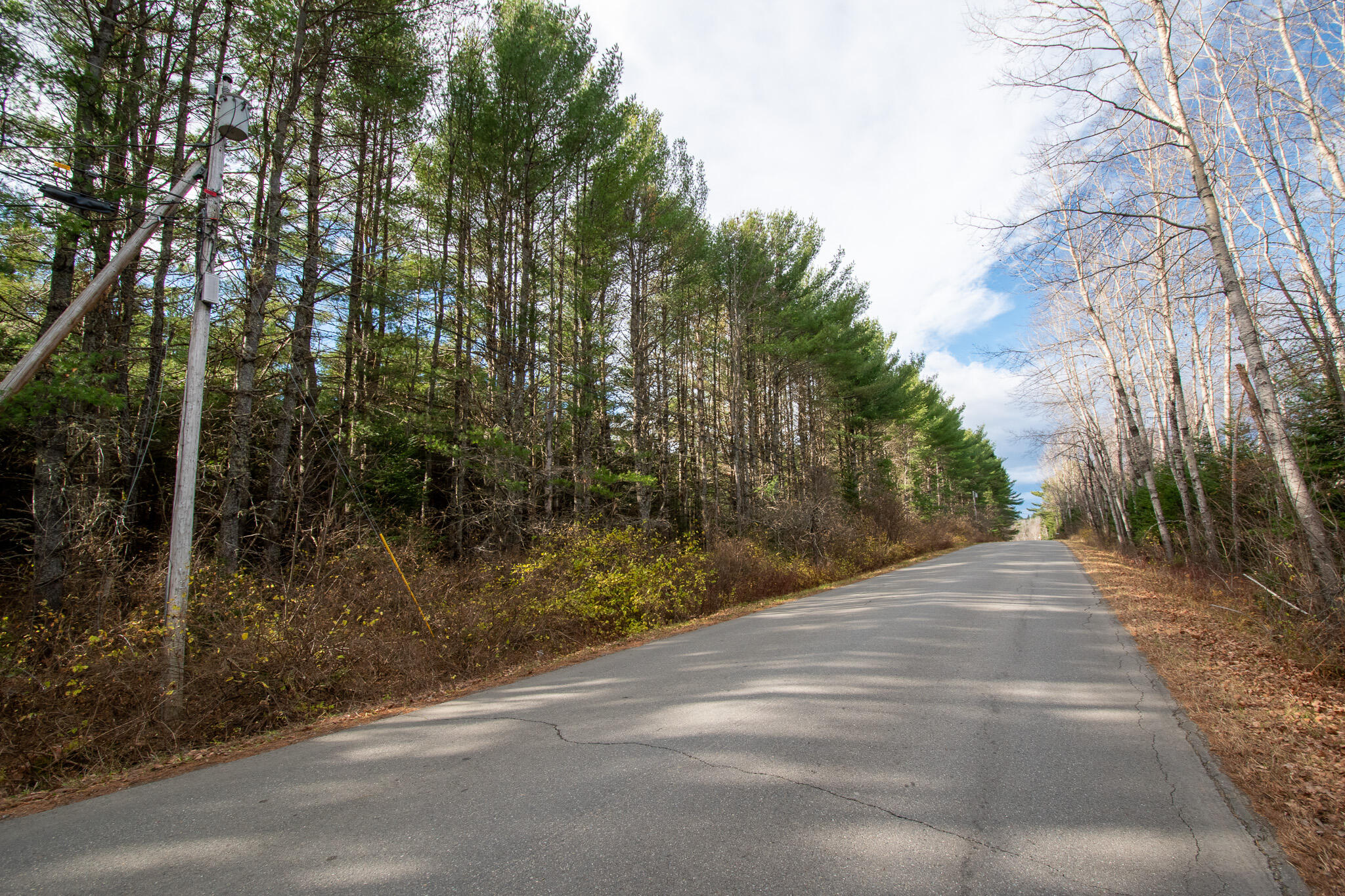 0 Shaw Road Dover-Foxcroft, ME 04426 - Photo 13 of 13 DSC_0165