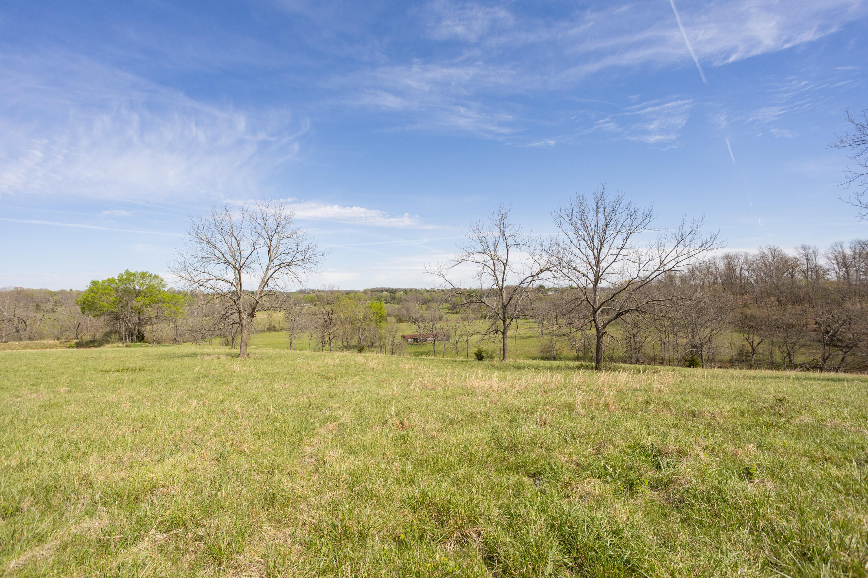 9795 Co Road Ava, MO 65608 - Photo 40 of 93 Douglas198(MLSRES)-46