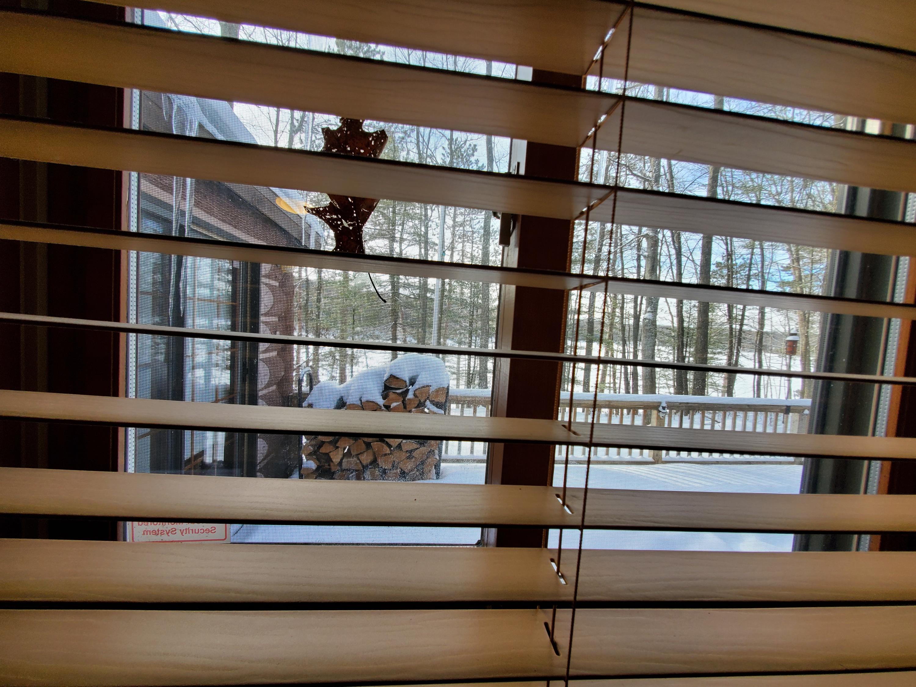 161 Loon Lake Loop Road Rose City, MI 48654 - Photo 29 of 69 Gallery Image 29
