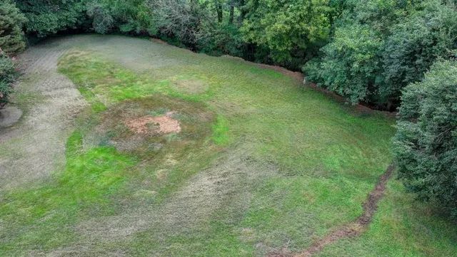 a view of a green yard