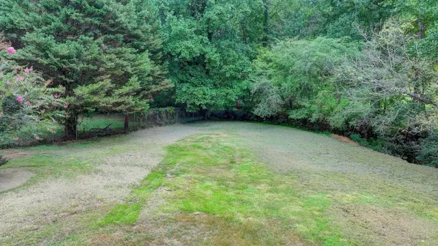 a view of a yard with a trees