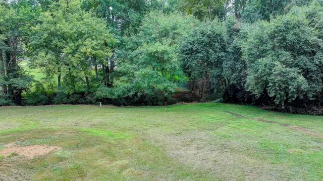 a view of a yard with a tree