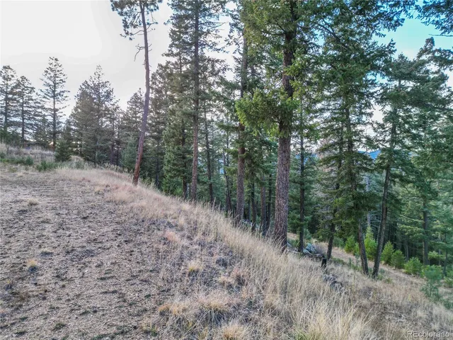 a big yard with lots of green space and deers