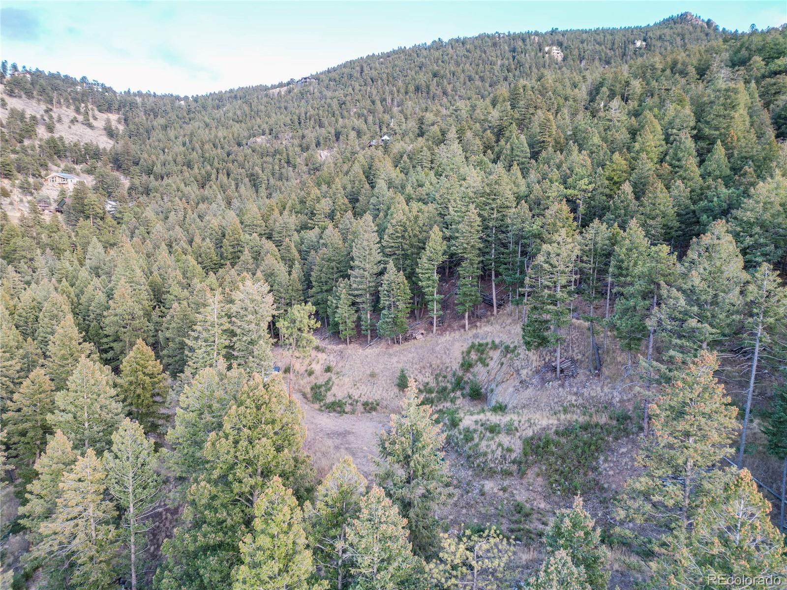 26779 Fern Gulch Road Evergreen, CO 80439 - Photo 17 of 24 a view of a forest with trees in the background