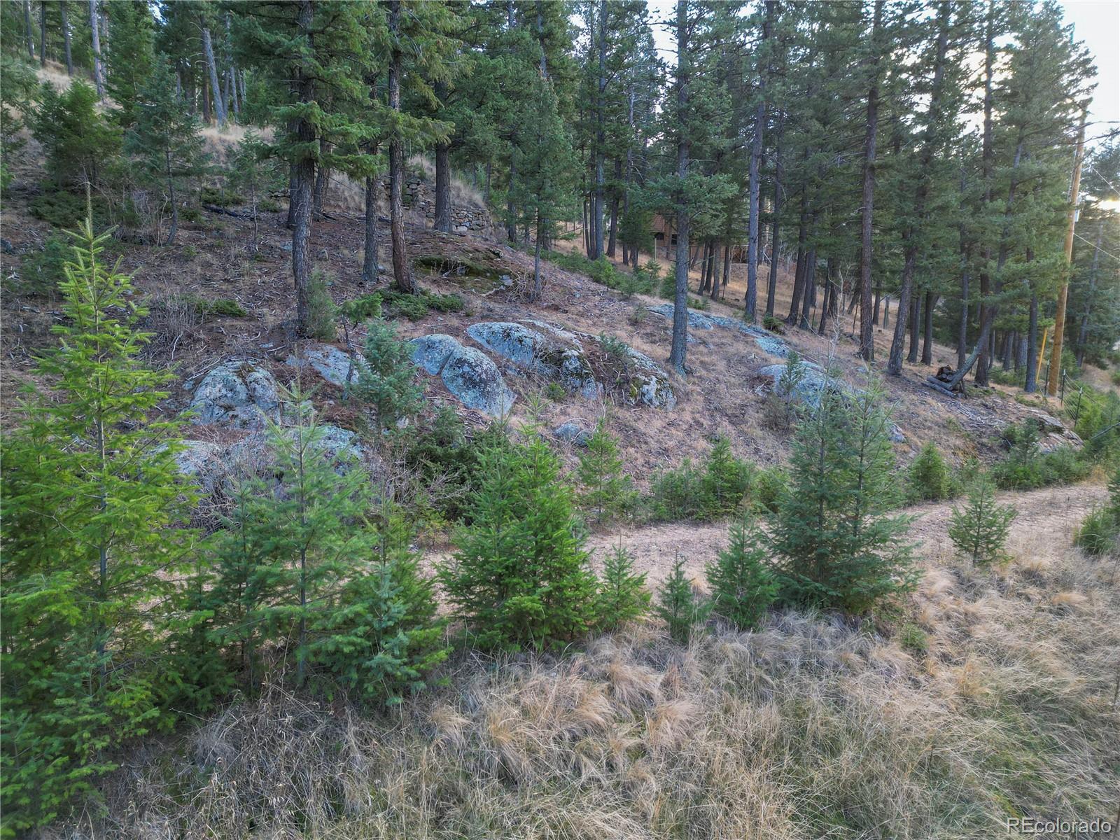 26779 Fern Gulch Road Evergreen, CO 80439 - Photo 18 of 24 a view of a forest with trees in the background