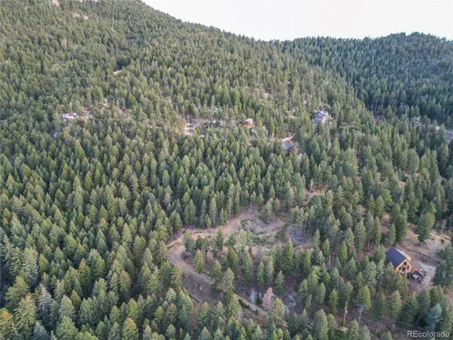 a view of a dry yard with a tree
