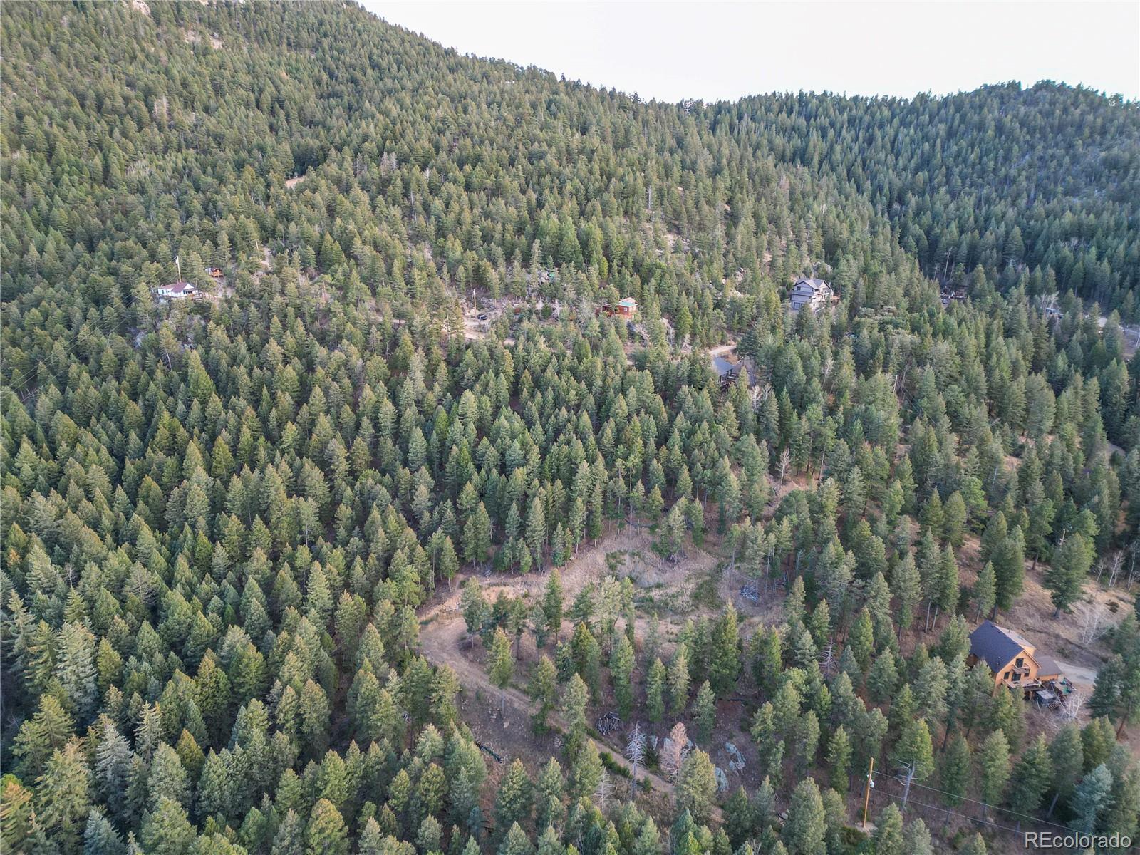 26779 Fern Gulch Road Evergreen, CO 80439 - Photo 22 of 24 a view of a dry yard with a tree