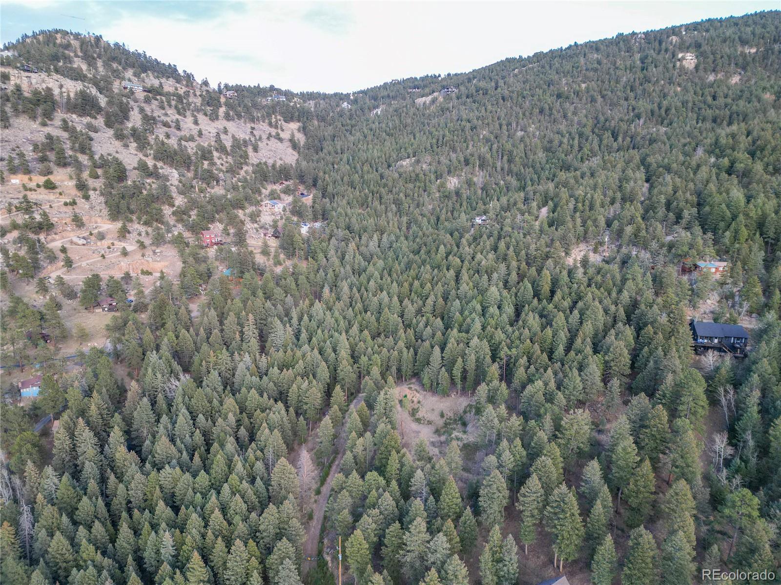 26779 Fern Gulch Road Evergreen, CO 80439 - Photo 23 of 24 a view of a big yard