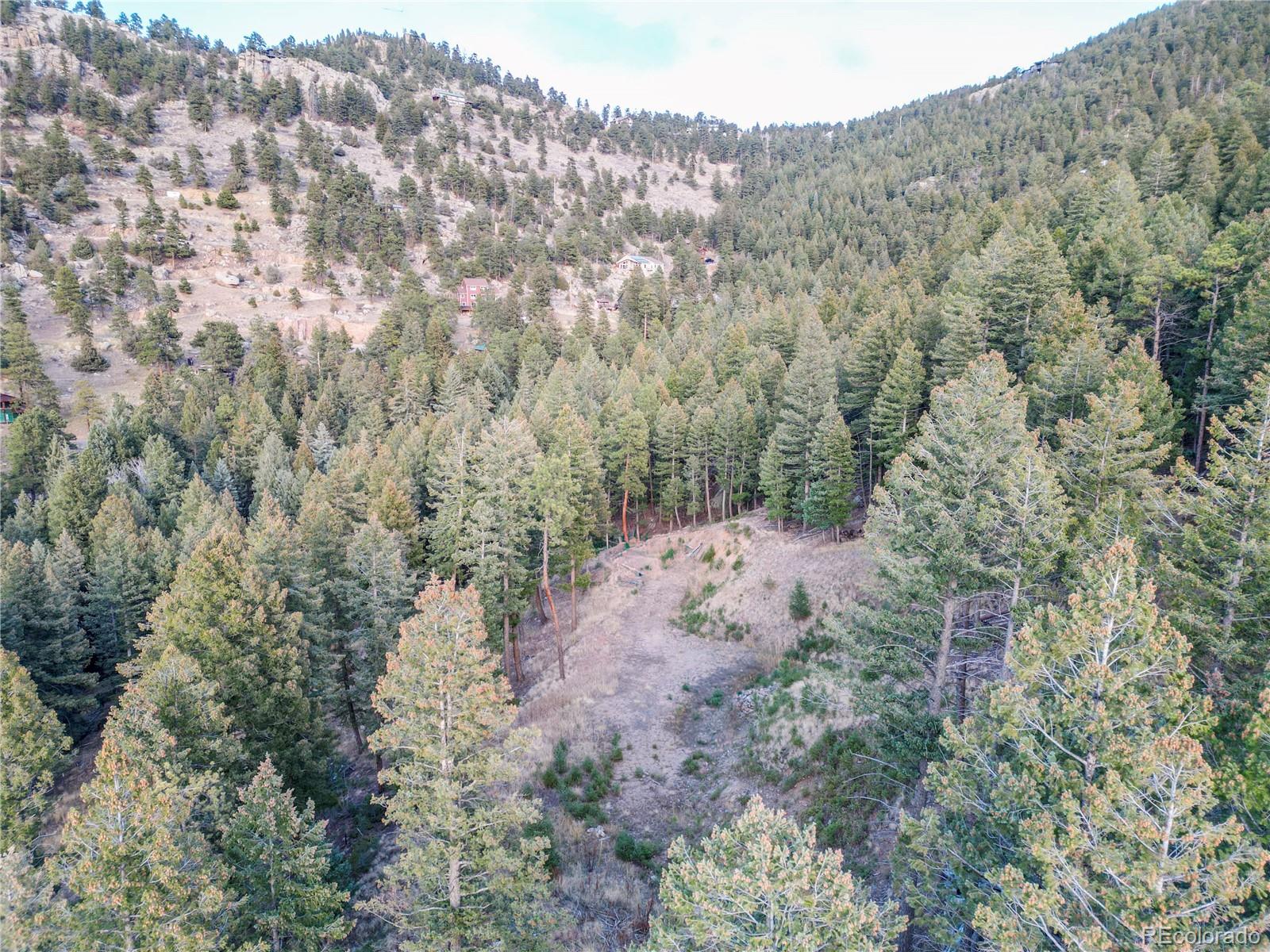 26779 Fern Gulch Road Evergreen, CO 80439 - Photo 24 of 24 a view of a forest with a mountain