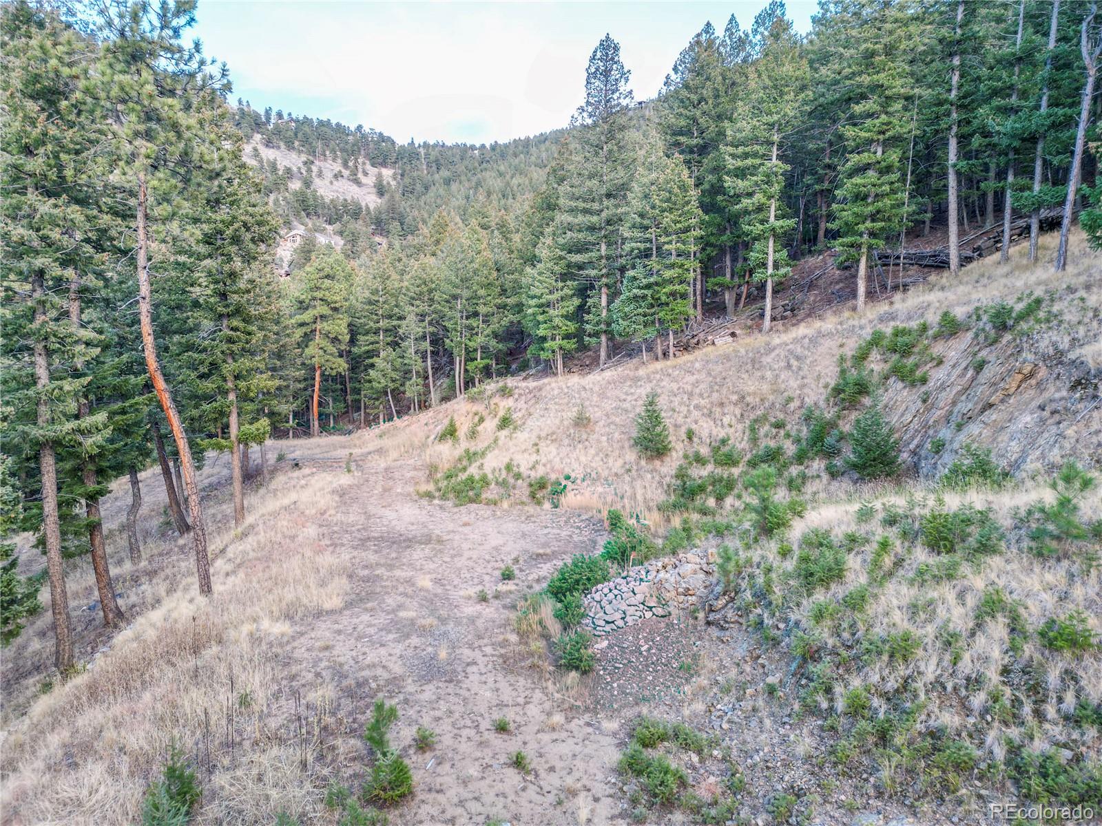 26779 Fern Gulch Road Evergreen, CO 80439 - Photo 8 of 24 a view of a forest with trees