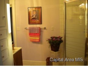 114 West Lorton Street Roodhouse, IL 62082 - Photo 17 of 23 Gallery Image 17