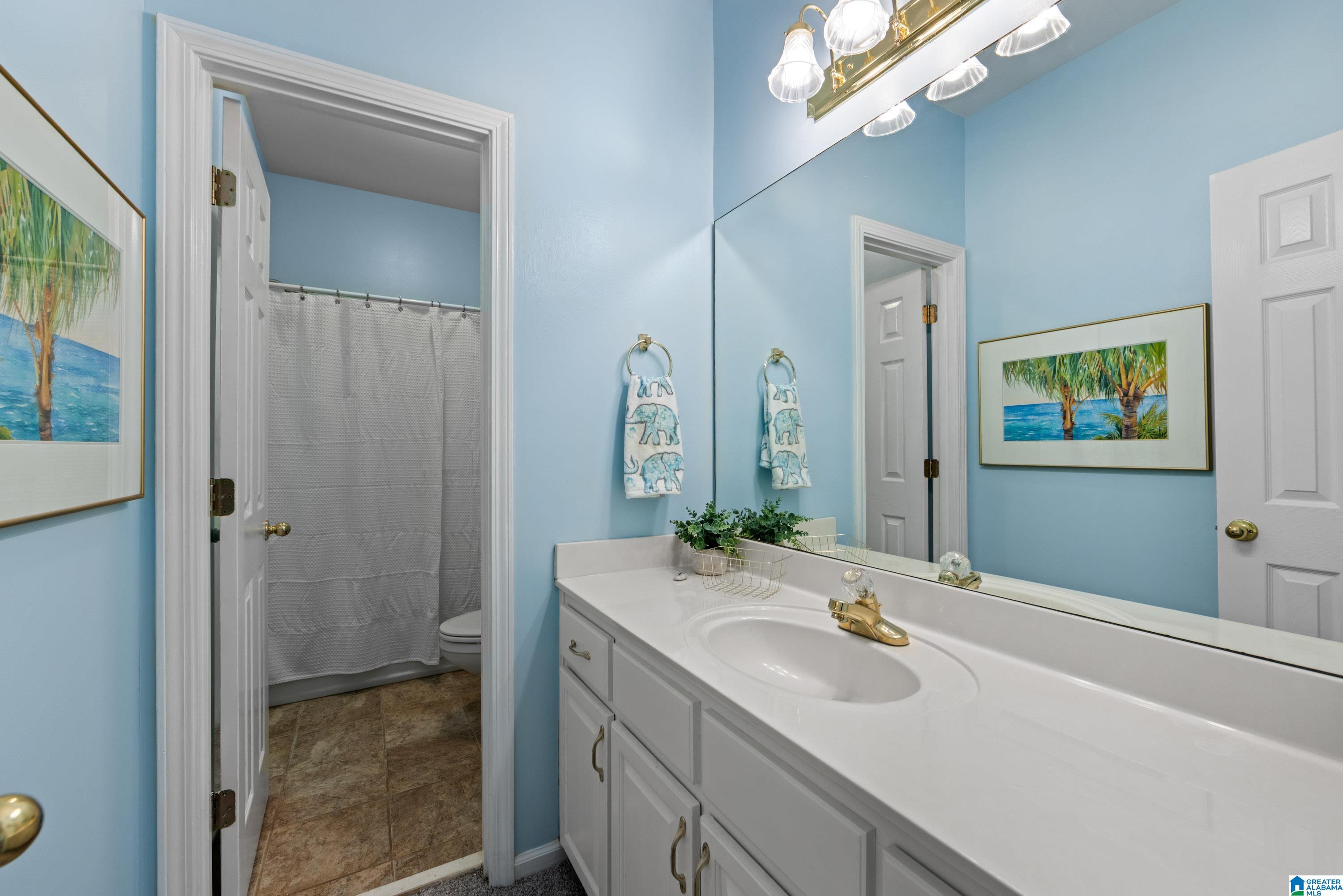 1234 Eagle Park Road Birmingham, AL 35242 - Photo 42 of 57