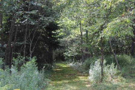 173 Rice Road Cooperstown, PA 16317 - Photo 27 of 29 Gallery Image 27