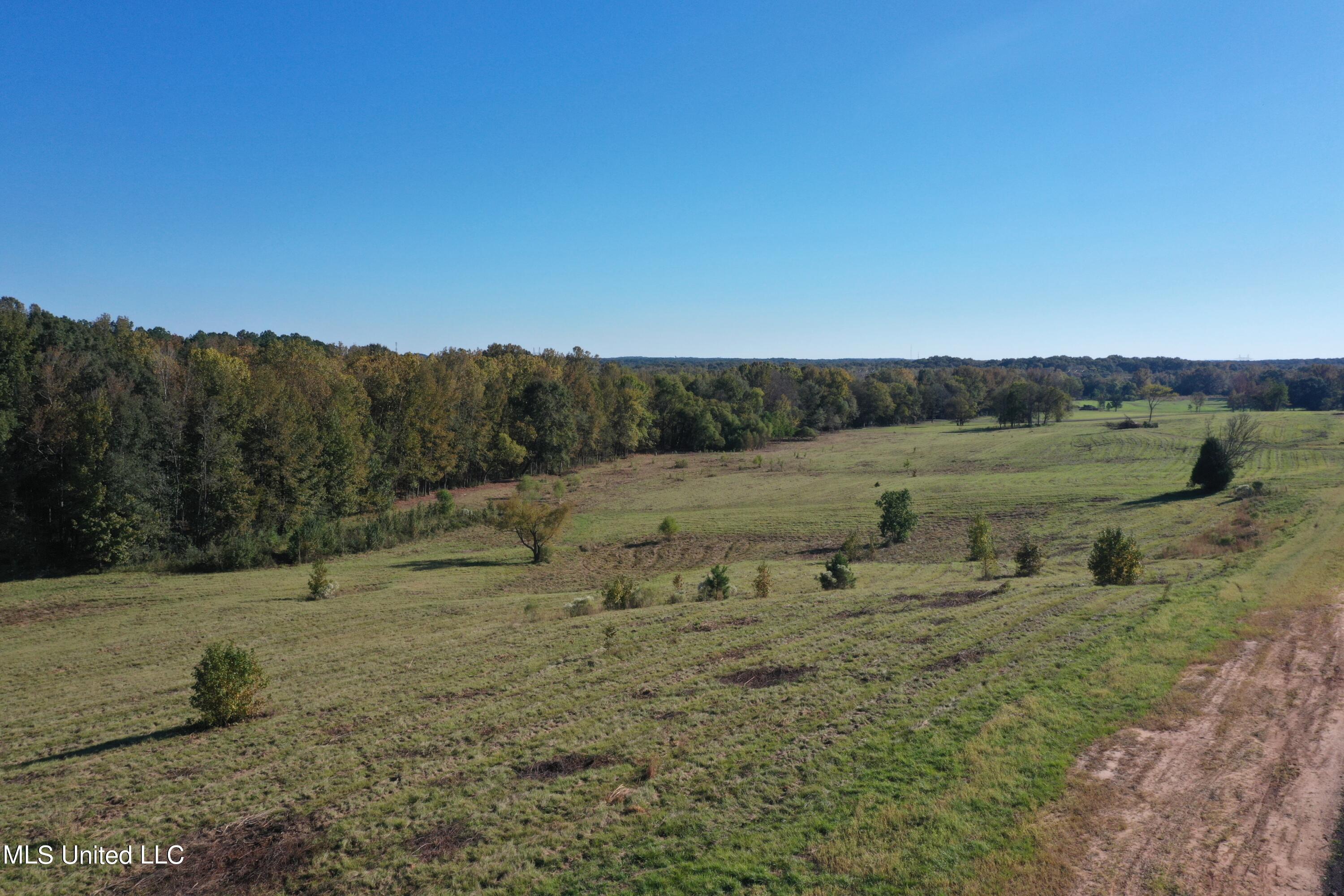 Cedar Hill Rd Road Flora, MS 39071 - Photo 1 of 9 Cedar Point