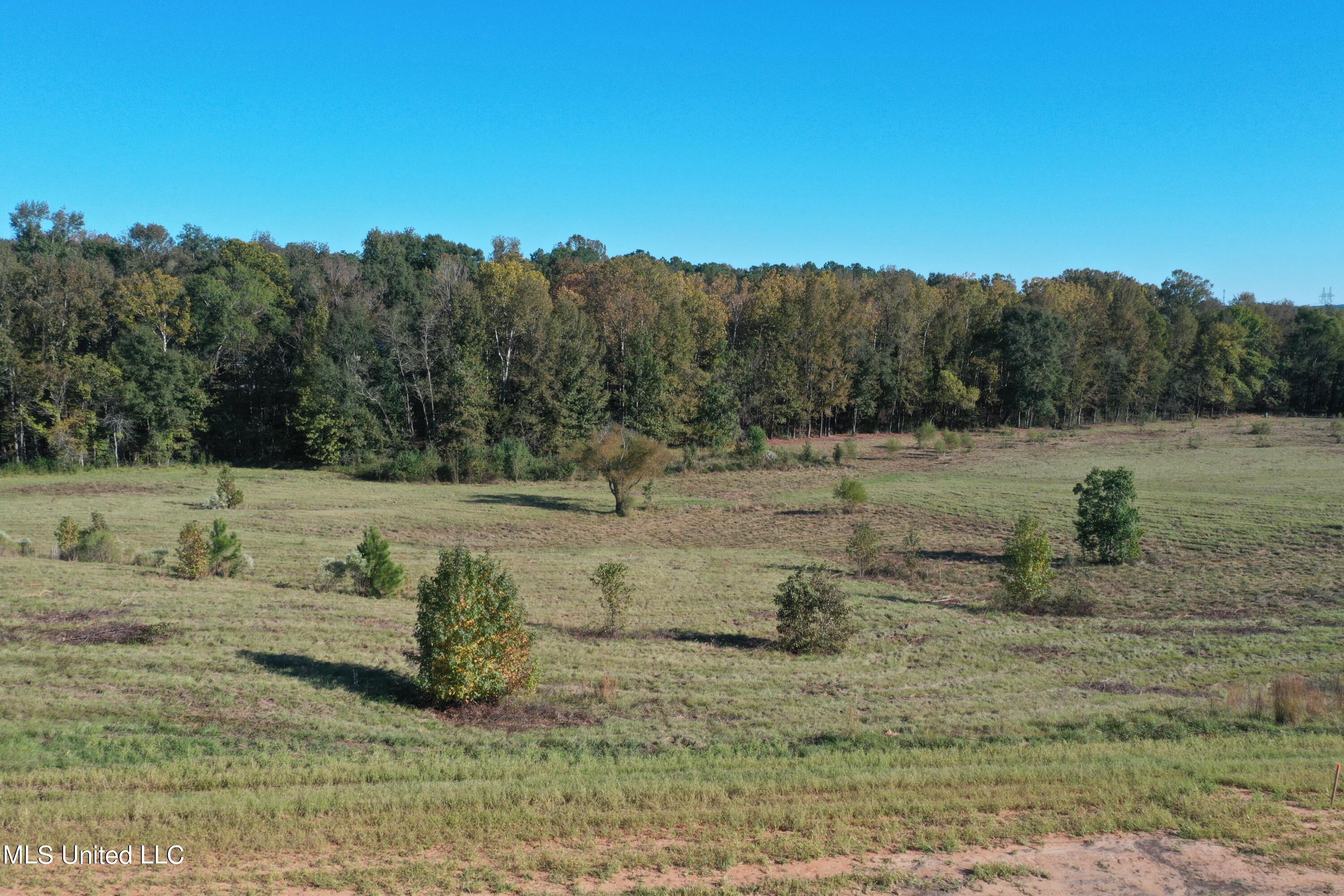 Cedar Hill Rd Road Flora, MS 39071 - Photo 2 of 9 DJI_0993