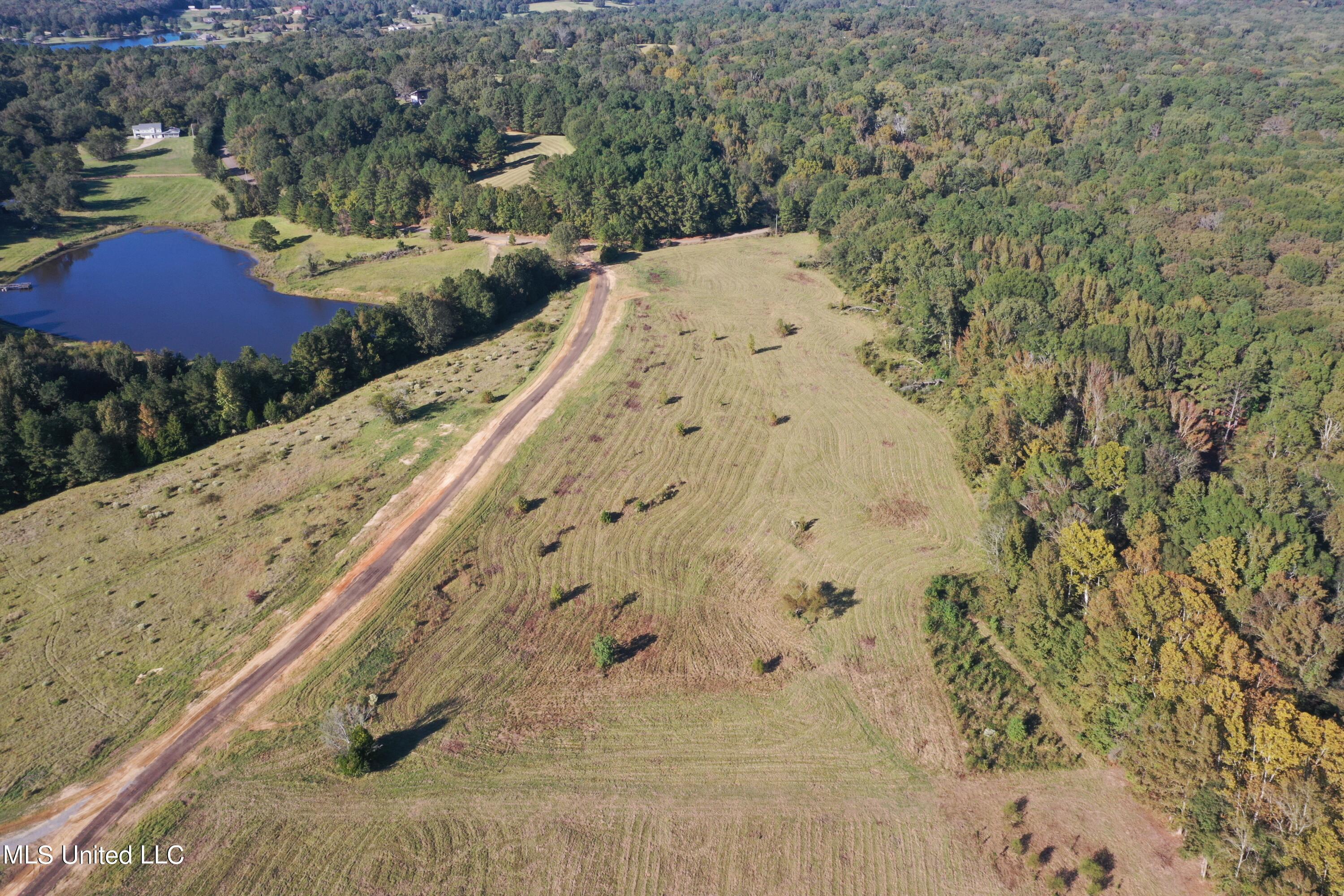 Cedar Hill Rd Road Flora, MS 39071 - Photo 3 of 9 DJI_0989